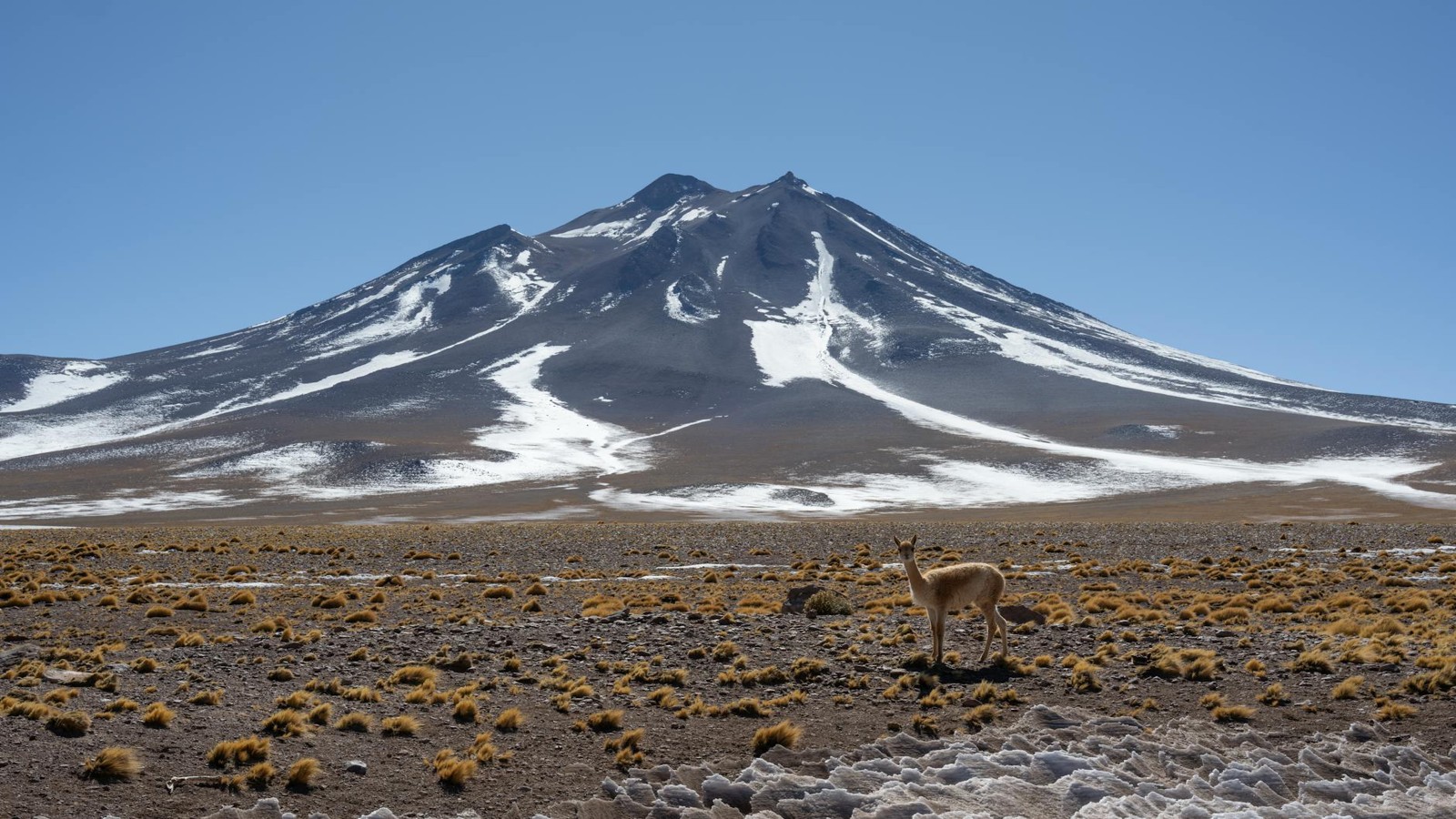 Antofagasta