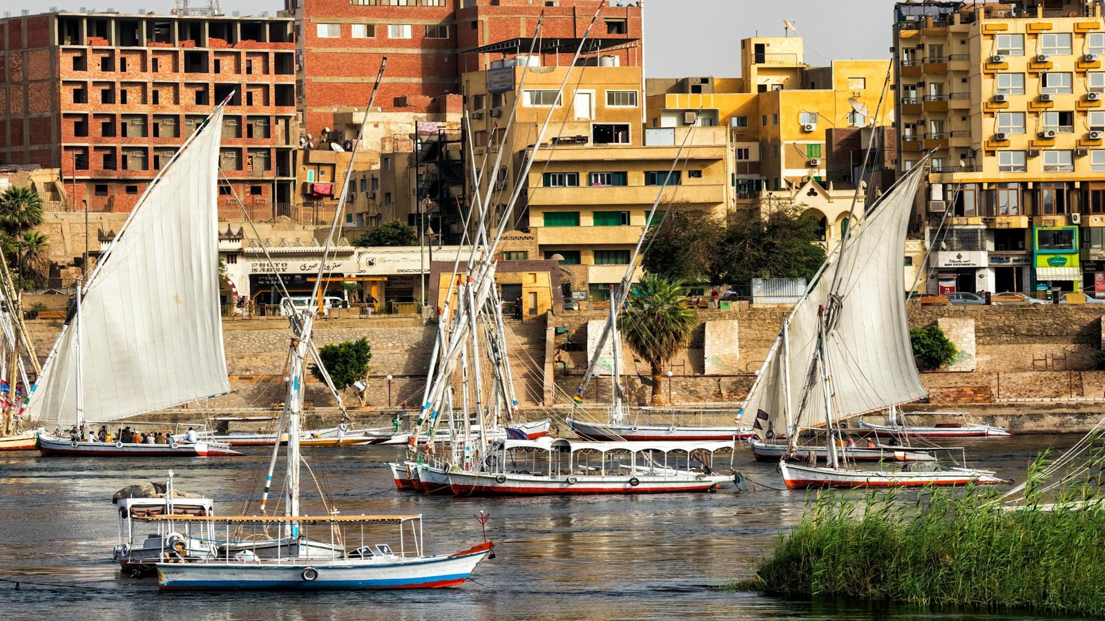 Aswan
